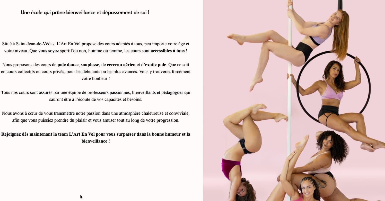 L'Art En Vol Pole Dance